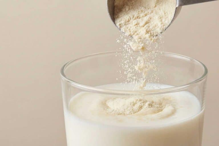 seitan decouvrez cette proteine vegetale qui revolutionne la cuisine moderne 1