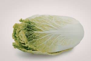 temps de cuisson chou vert cocotte minute seb le guide complet 1