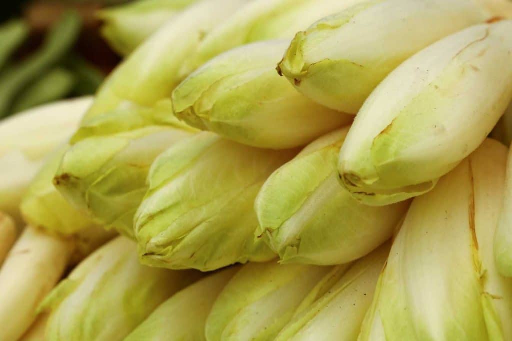 temps de cuisson endives a la vapeur guide complet pour reussir a tous les coups 1