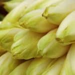 temps de cuisson endives a la vapeur guide complet pour reussir a tous les coups 1