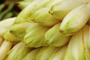 temps de cuisson endives a la vapeur guide complet pour reussir a tous les coups 1