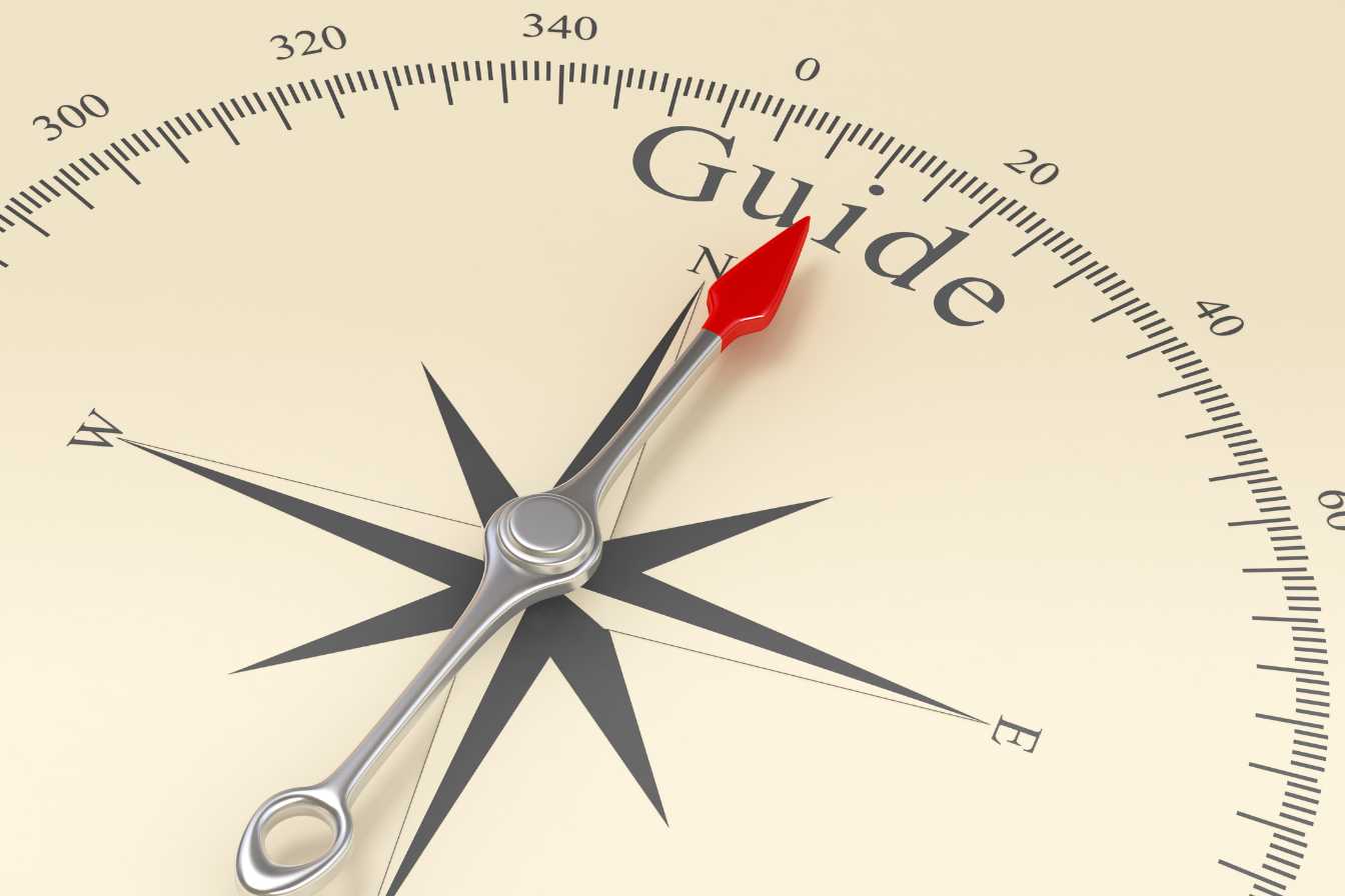 temps-de-cuisson-endives-a-la-vapeur-guide-complet-pour-reussir-a-tous-les-coups-2